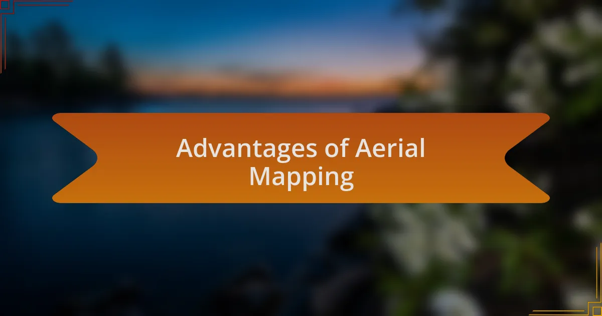 Advantages of Aerial Mapping