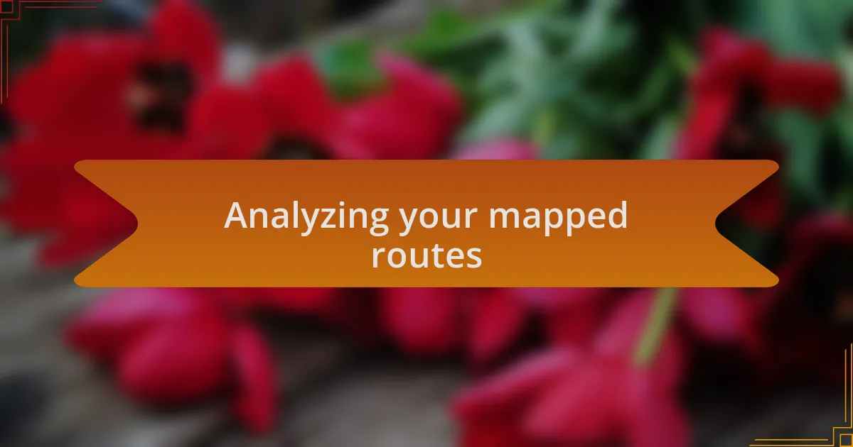 Analyzing your mapped routes