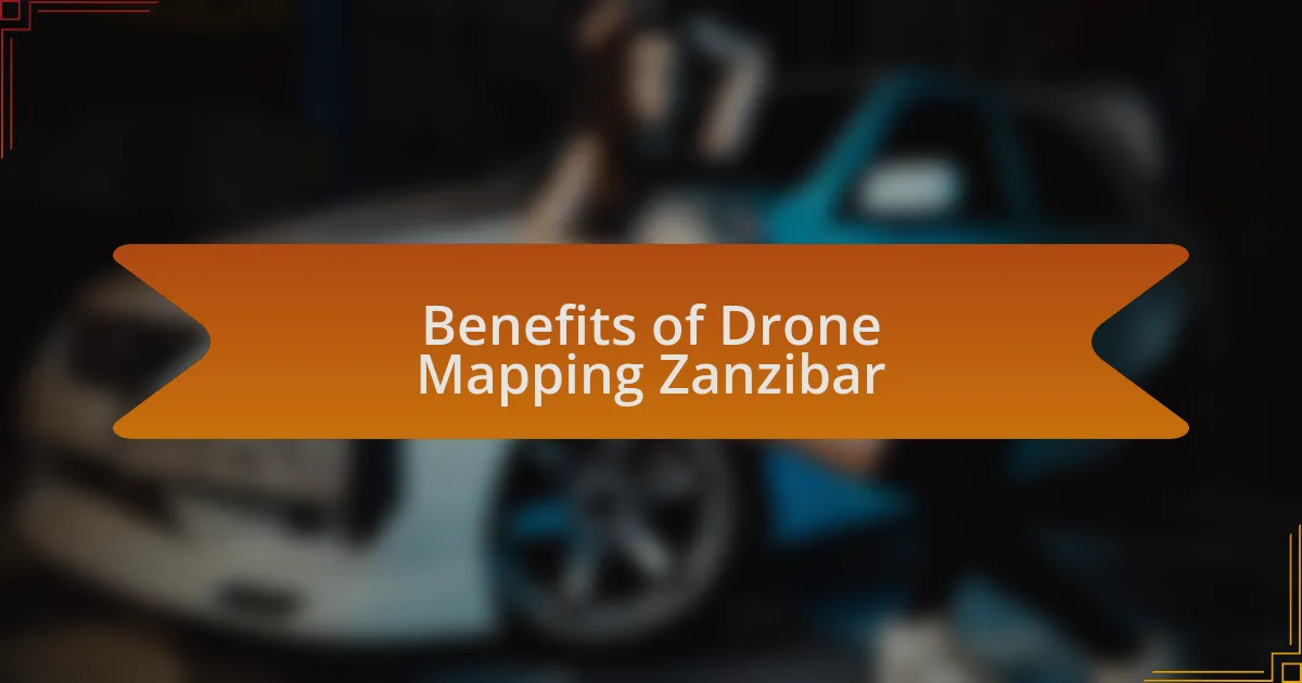 Benefits of Drone Mapping Zanzibar