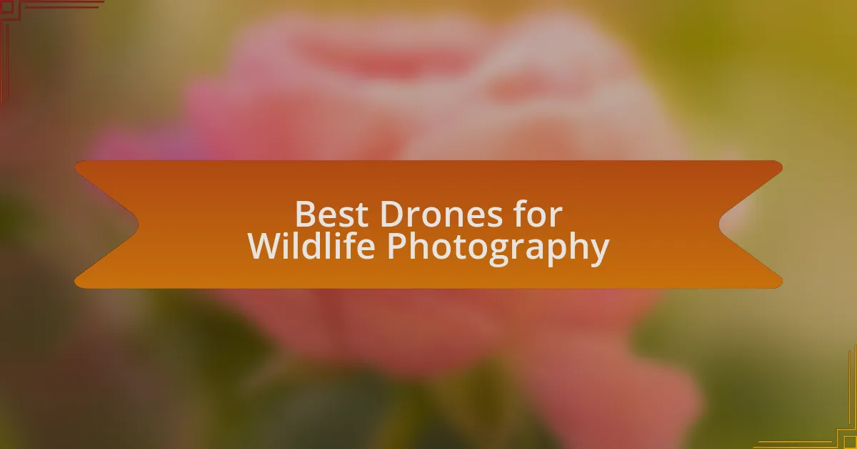 Best Drones for Wildlife Photography