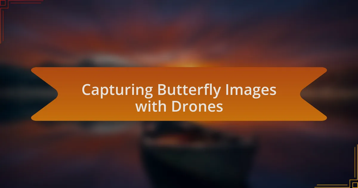 Capturing Butterfly Images with Drones