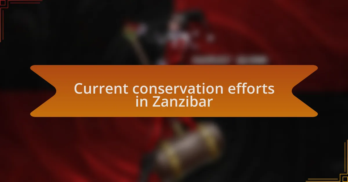 Current conservation efforts in Zanzibar