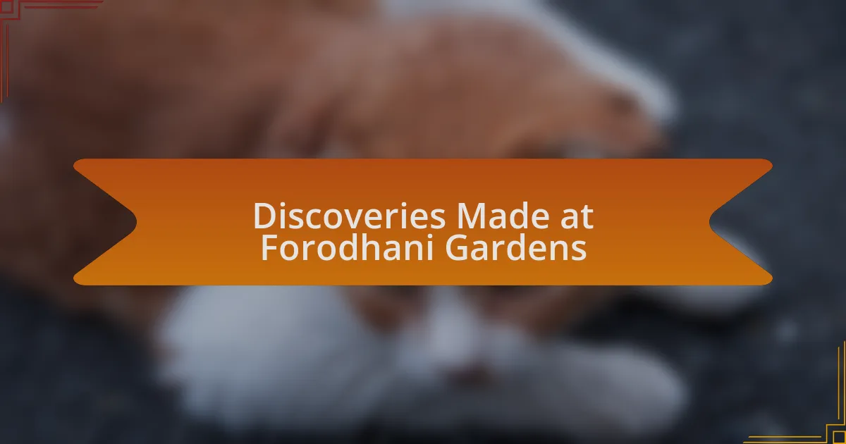 Discoveries Made at Forodhani Gardens