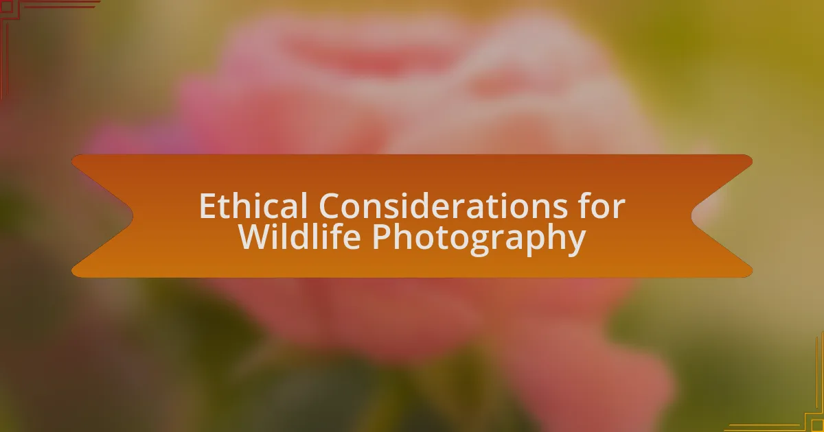 Ethical Considerations for Wildlife Photography
