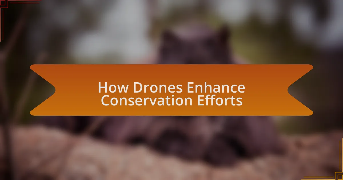 How Drones Enhance Conservation Efforts