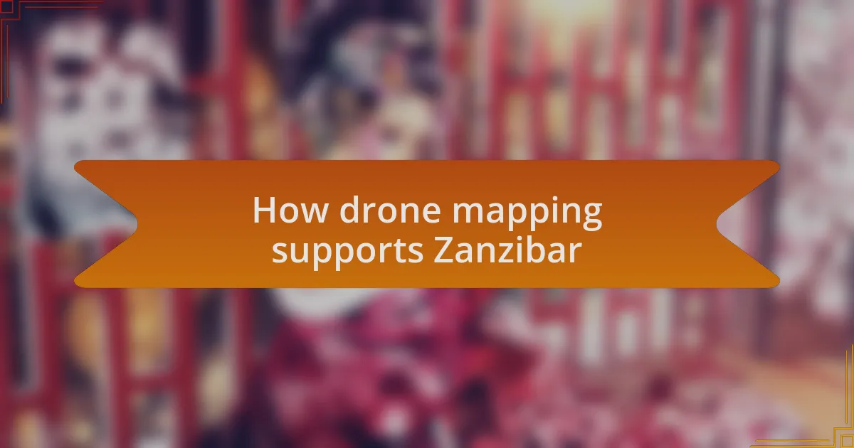 How drone mapping supports Zanzibar
