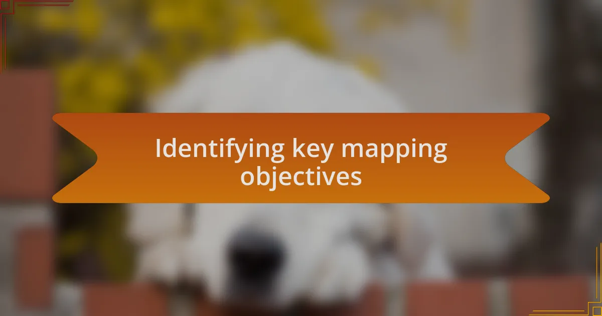 Identifying key mapping objectives