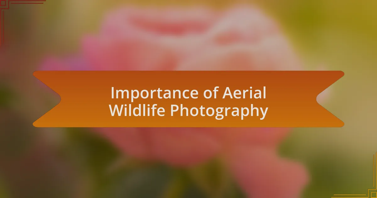 Importance of Aerial Wildlife Photography