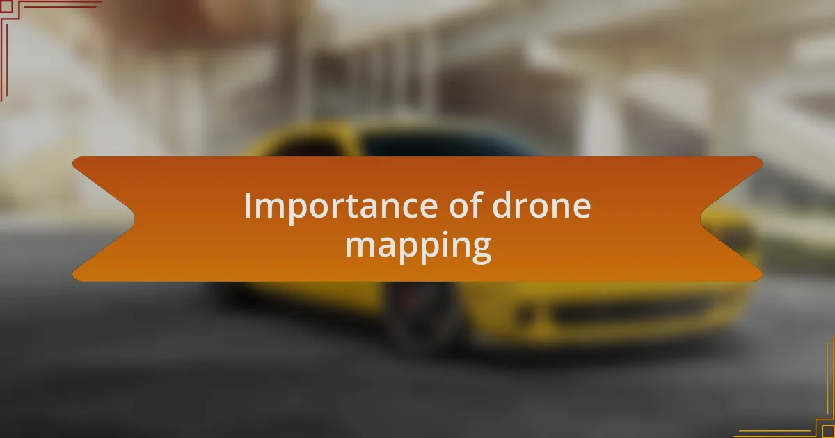 Importance of drone mapping