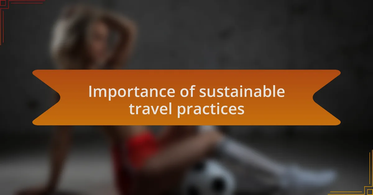 Importance of sustainable travel practices