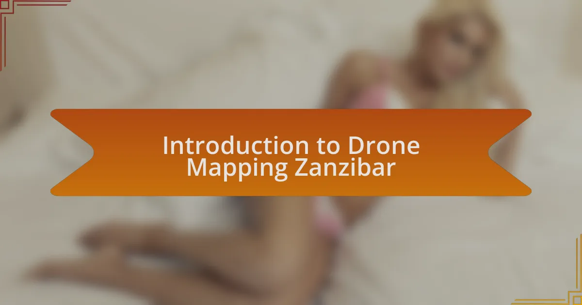 Introduction to Drone Mapping Zanzibar