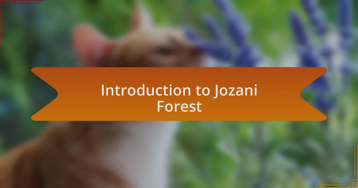 Introduction to Jozani Forest