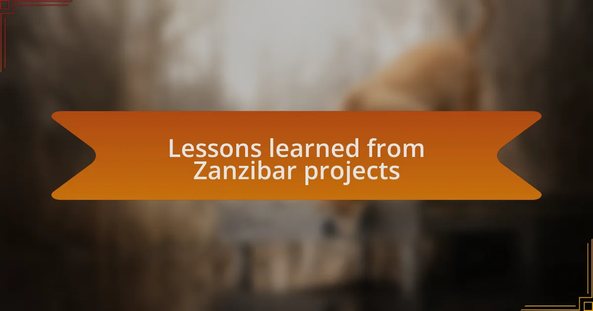 Lessons learned from Zanzibar projects