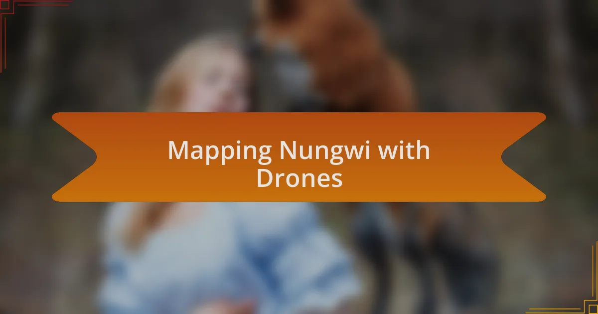 Mapping Nungwi with Drones