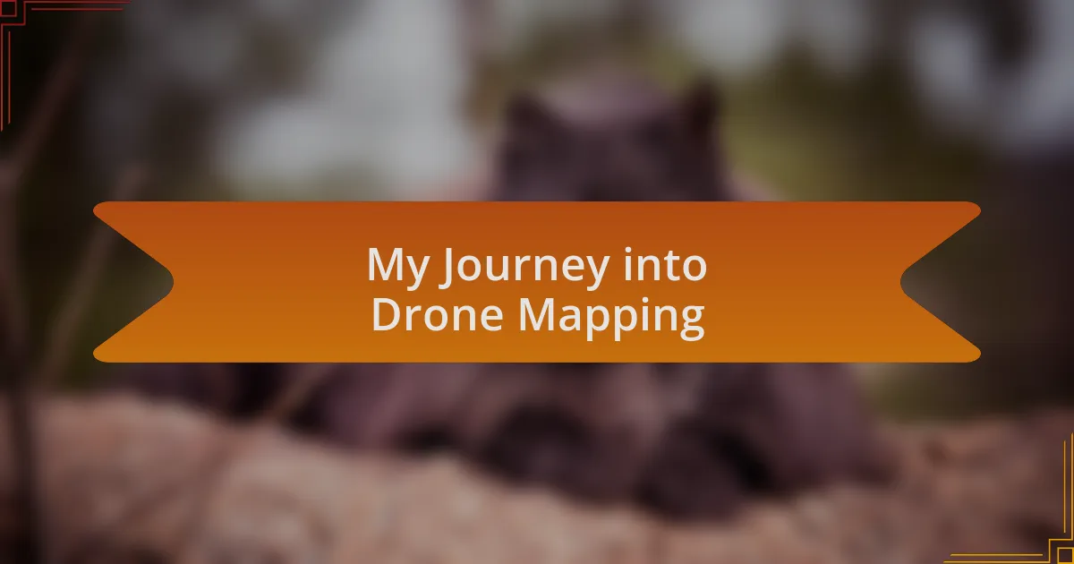 My Journey into Drone Mapping