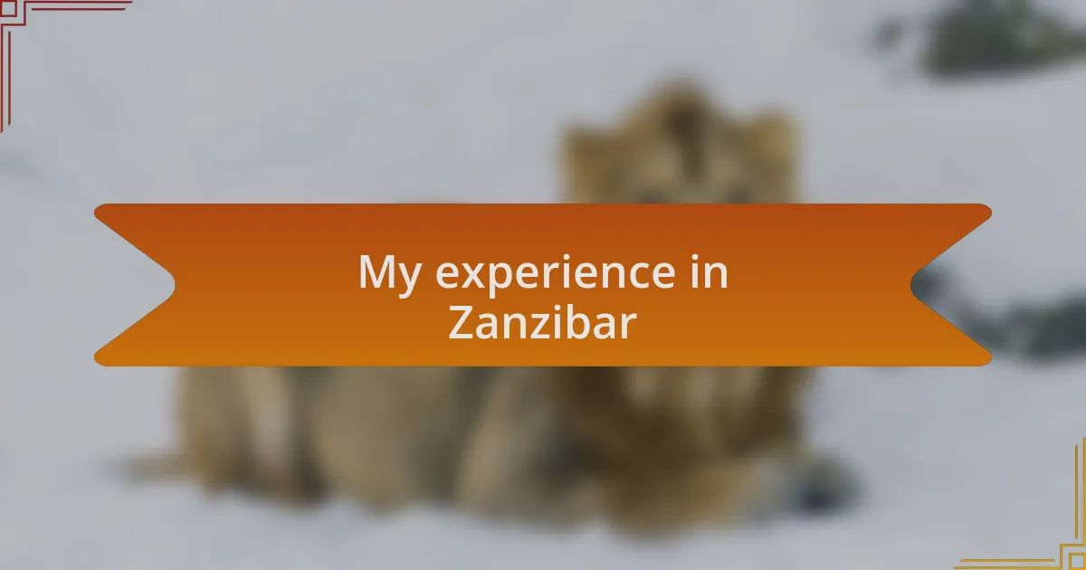 My experience in Zanzibar