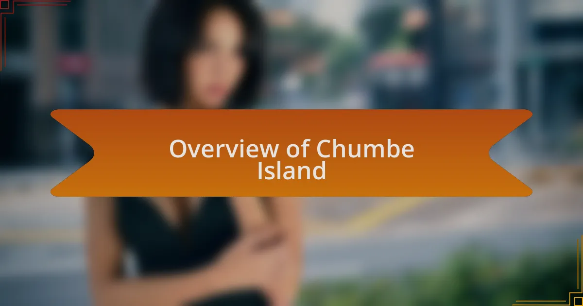 Overview of Chumbe Island