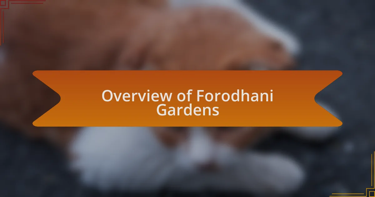 Overview of Forodhani Gardens