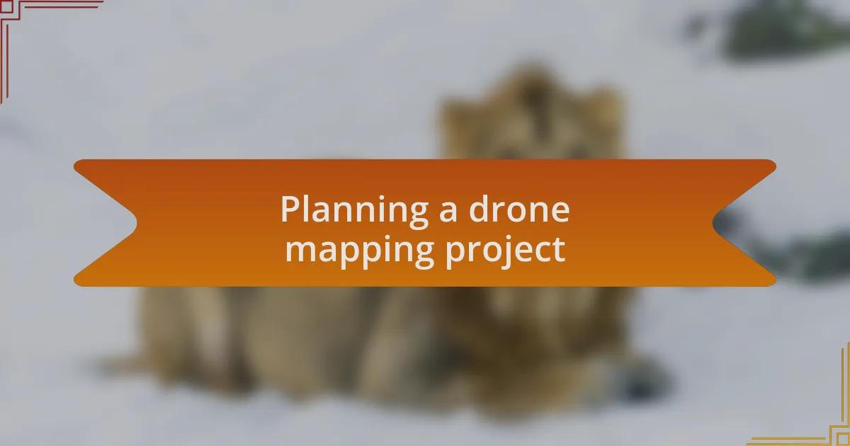 Planning a drone mapping project