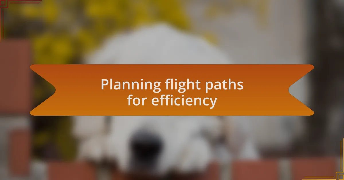 Planning flight paths for efficiency