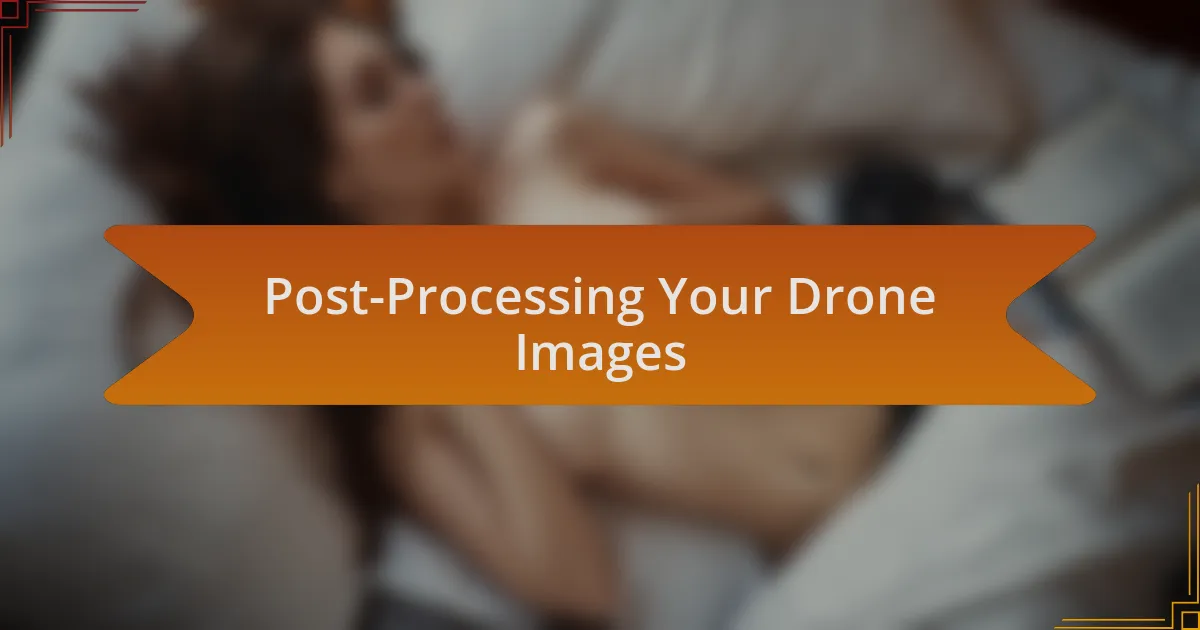 Post-Processing Your Drone Images