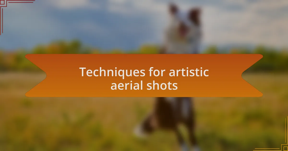 Techniques for artistic aerial shots