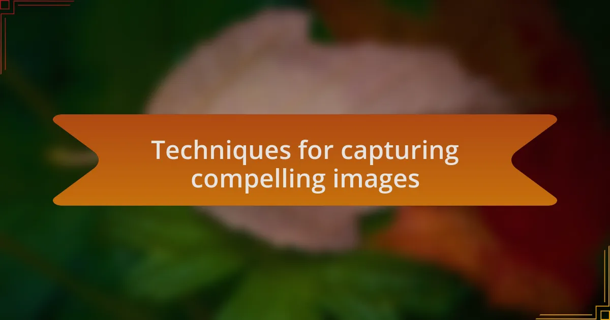 Techniques for capturing compelling images