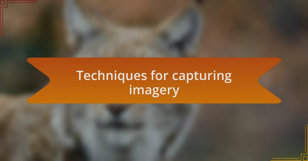 Techniques for capturing imagery