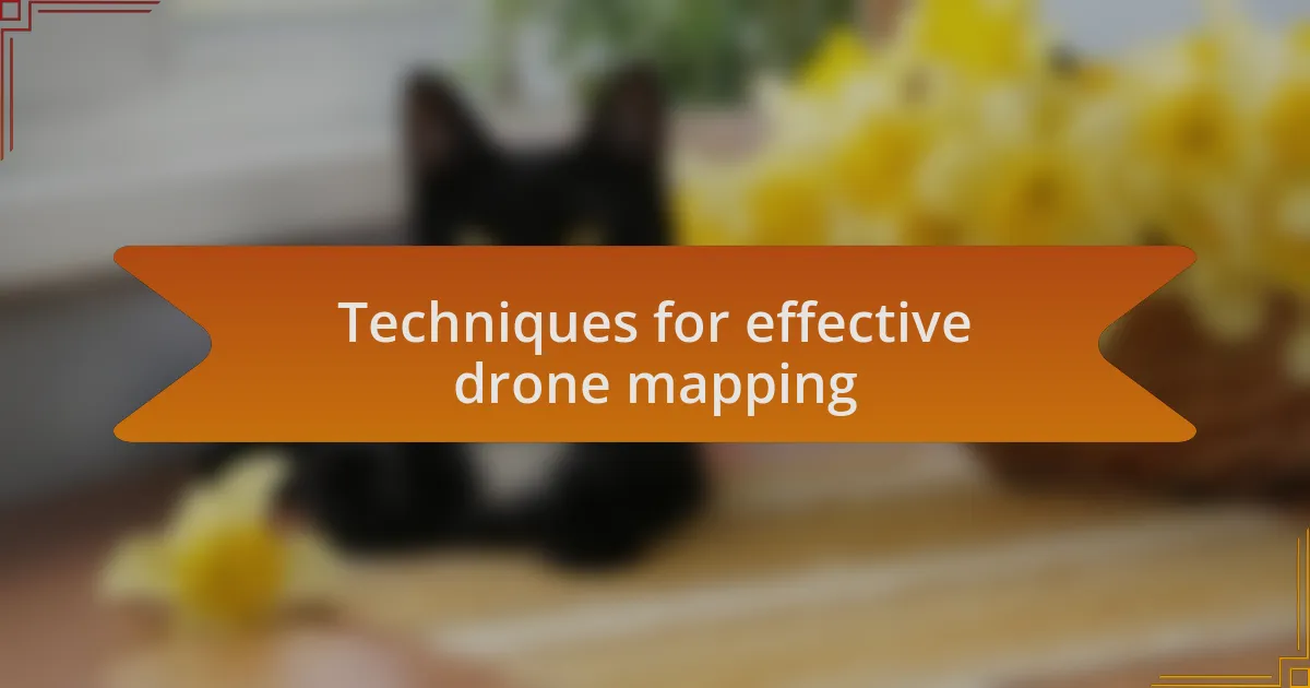 Techniques for effective drone mapping