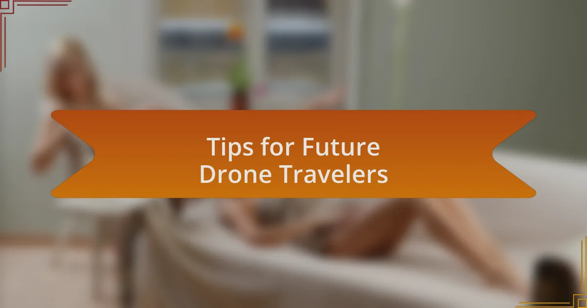 Tips for Future Drone Travelers