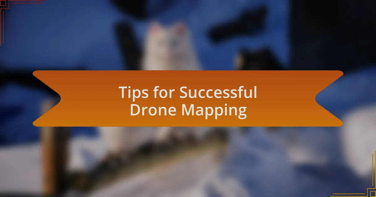 Tips for Successful Drone Mapping
