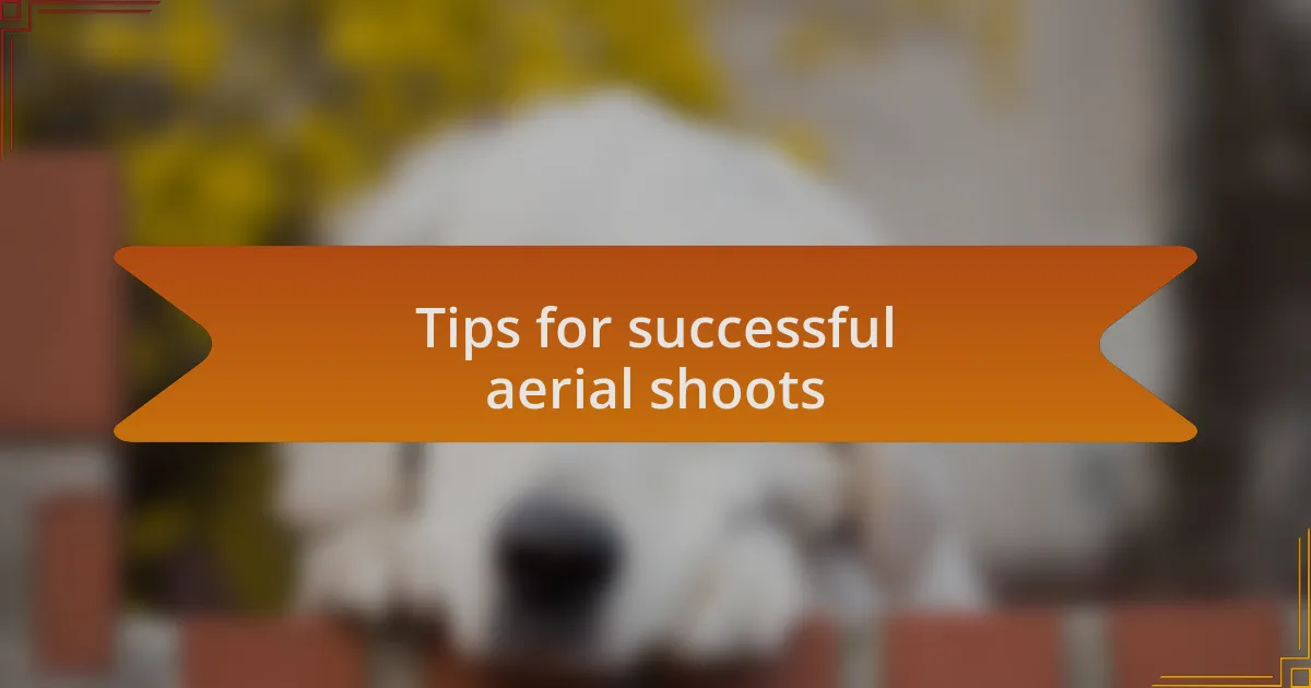 Tips for successful aerial shoots