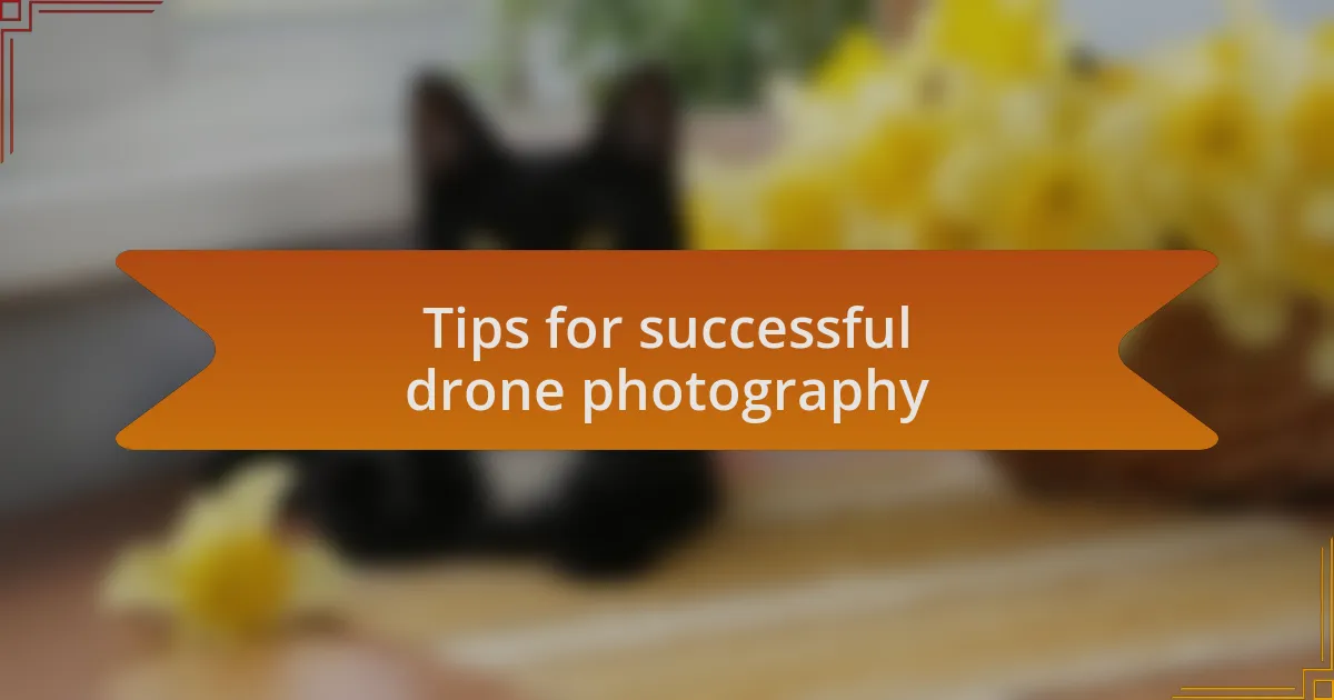 Tips for successful drone photography