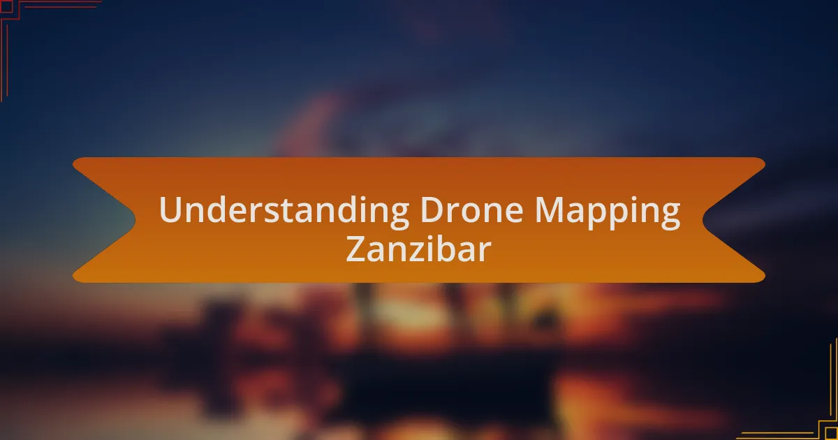 Understanding Drone Mapping Zanzibar