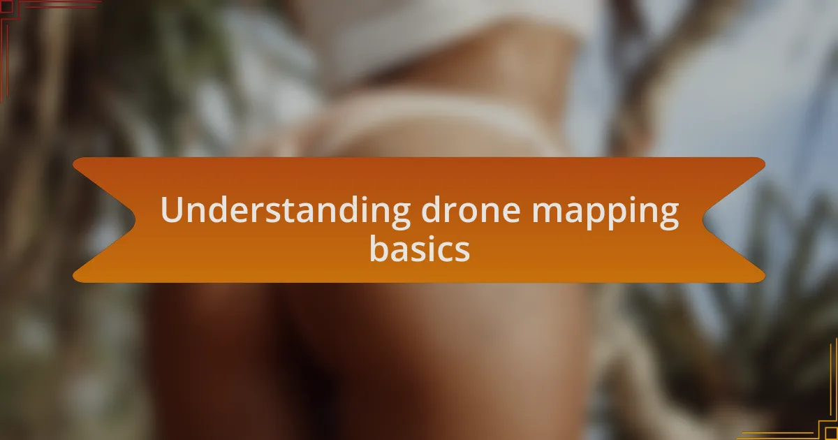 Understanding drone mapping basics