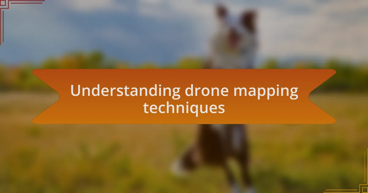 Understanding drone mapping techniques