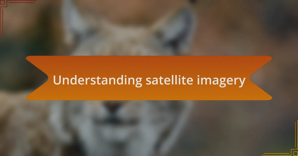 Understanding satellite imagery