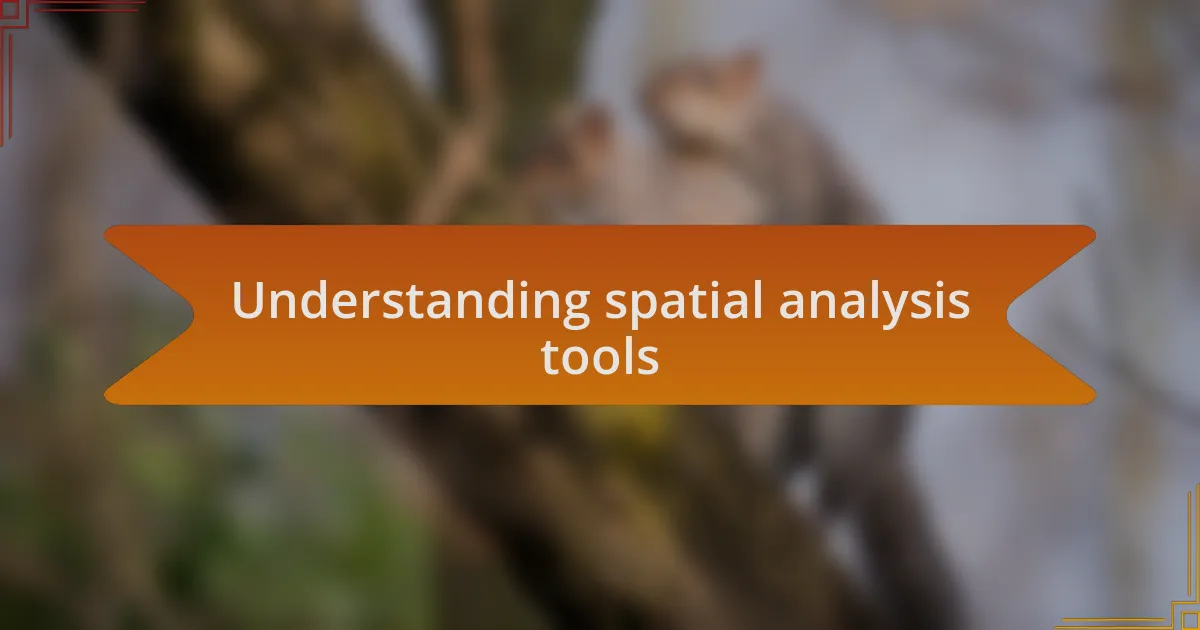 Understanding spatial analysis tools