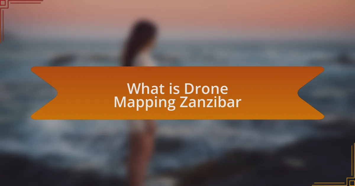 What is Drone Mapping Zanzibar