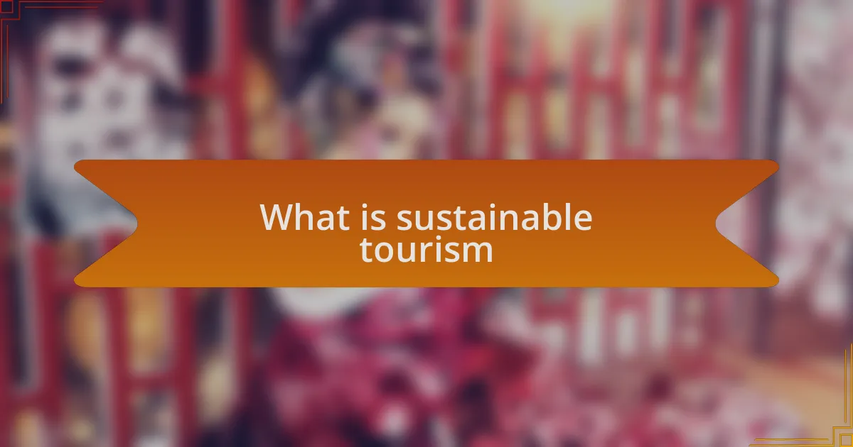 What is sustainable tourism